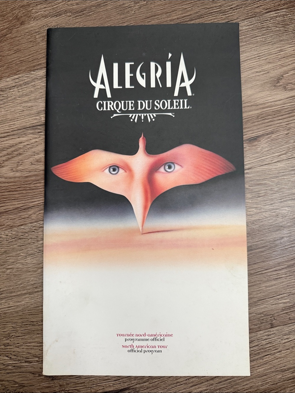Vintage Cirque du Soleil ALEGRÍA Official Tour Program Book (1994)